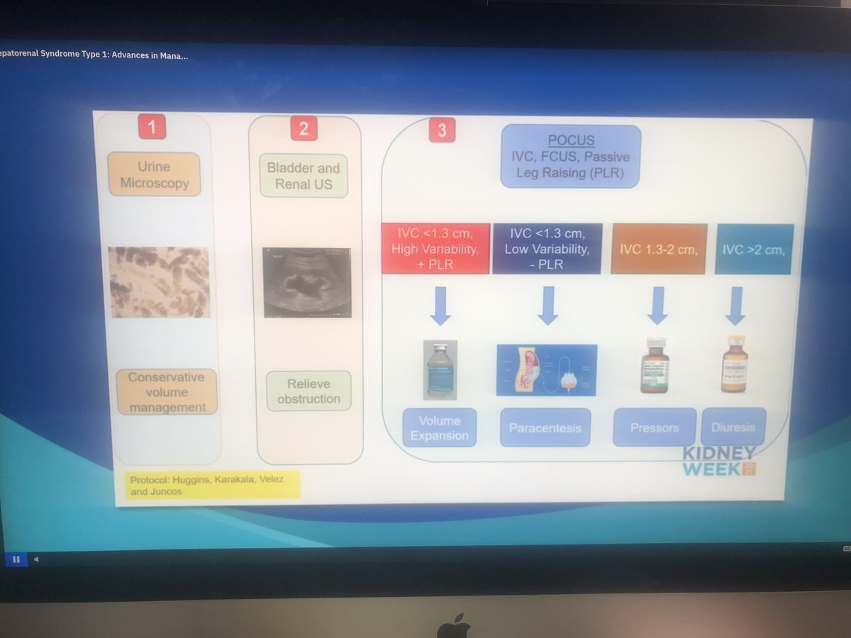 Juan Carlos Q Velez tweet media