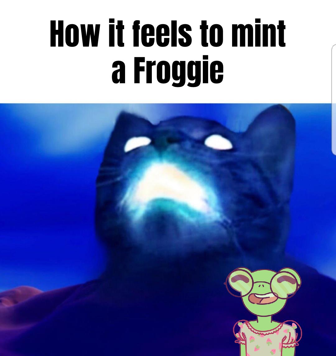 Froggie Fam tweet media