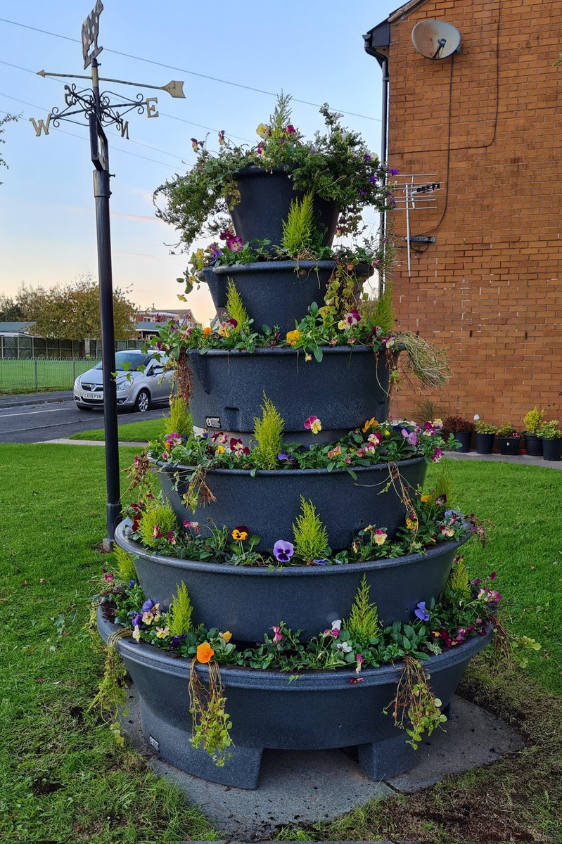 Winter draws on!
Let's see how the trailing pansies get on # bloomhour <a href="/nwibofficial1/">North West In Bloom</a>