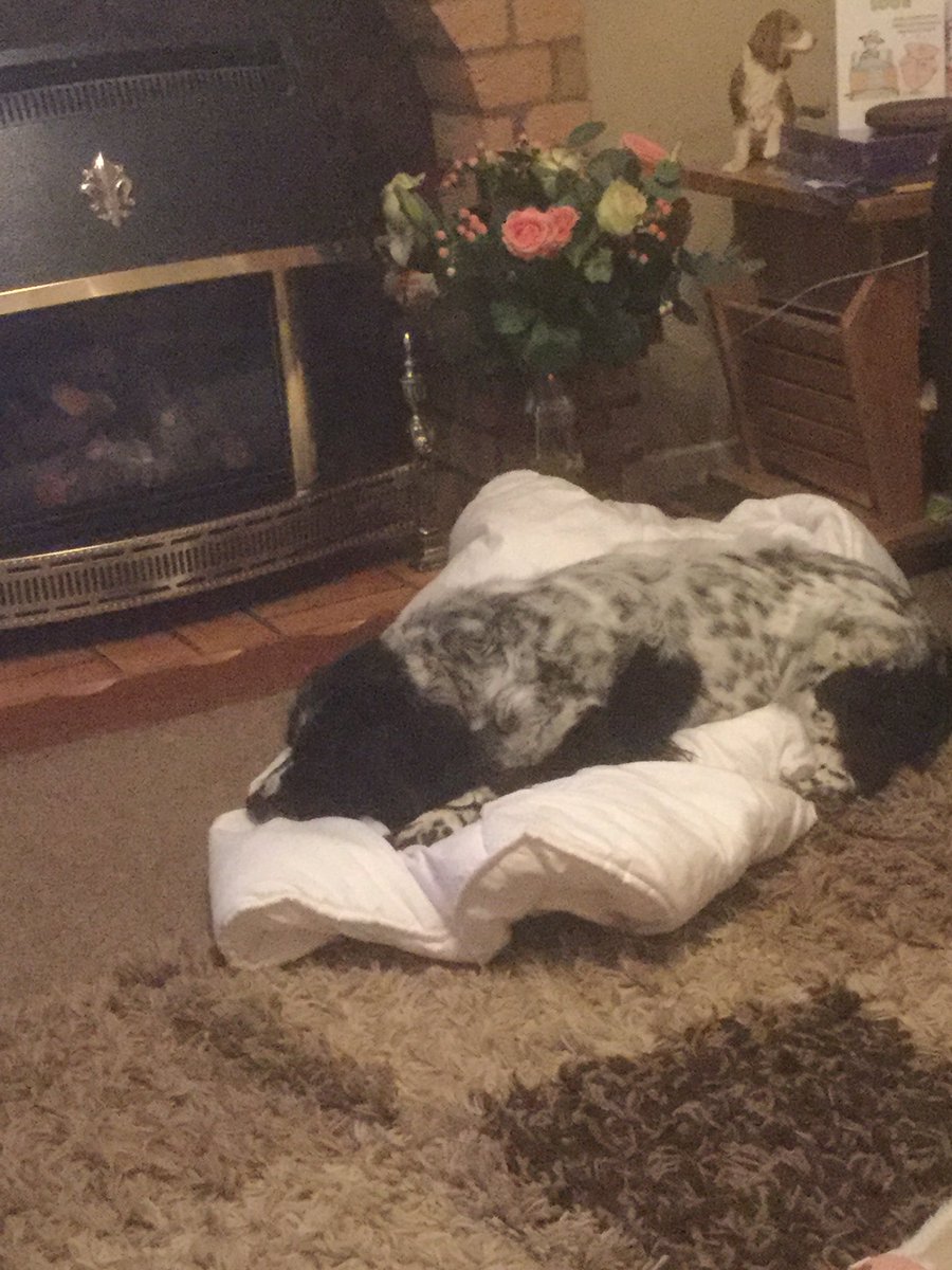 Not sure that’s for you ,