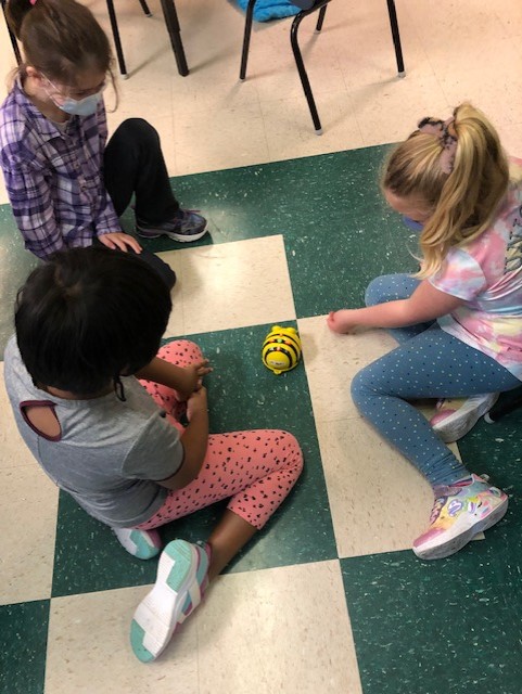 cbvrce_tech's tweet photo. Tech mentor @smleblanc40 had the primaries and ones Bee bopping today at Donkin School and @TompkinsMemori1. @CBVRCE_NS #cbvtechtweet https://t.co/uECnmYdcar