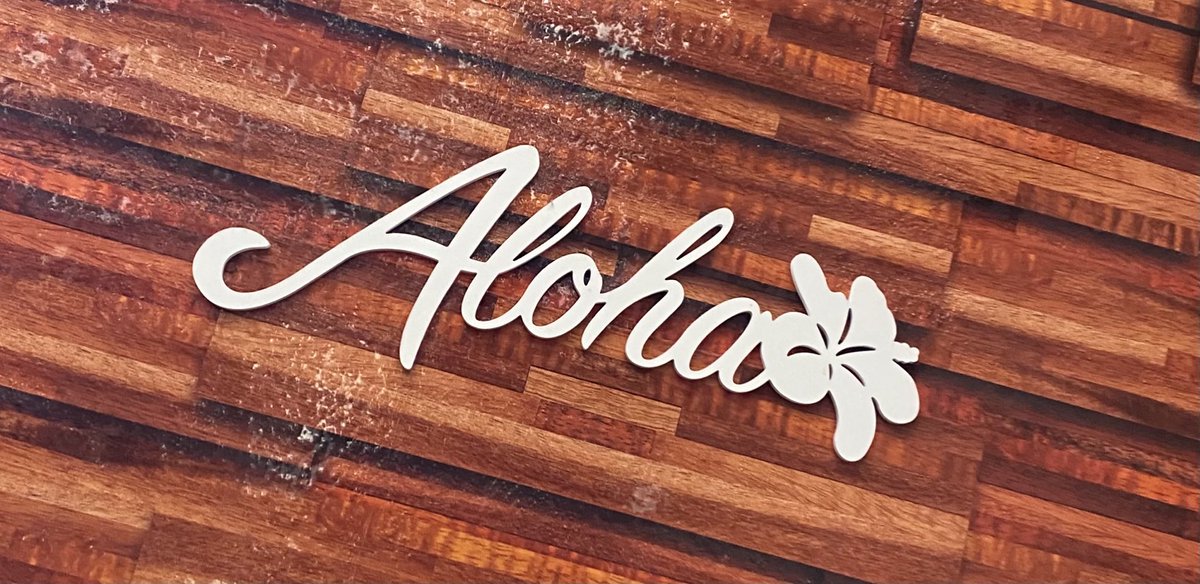 Night Raiders is on its way to ⁦<a href="/HIFF/">Hawaiʻi International Film Festival</a>⁩ today! #hawaii #filmfestival