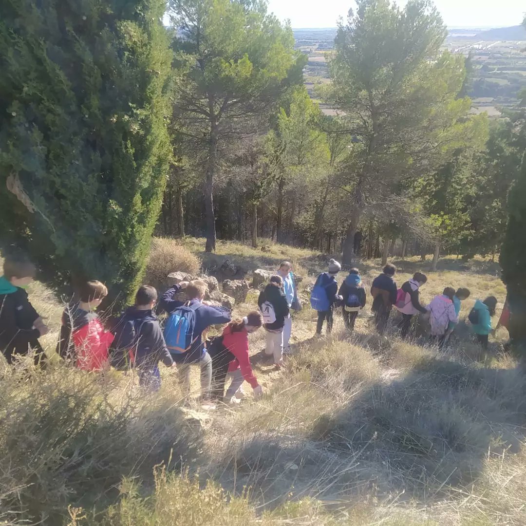 salesianosHUESC's tweet image. 6EP han tenido una jornada de convivencia en la localidad de Ayerbe. Han visitado la Ermita de San Miguel y han aprendido mucho en el Centro de Interpretación de Ramón y Cajal.
#excursionesmolonas
#ramonycajal 
#ayerbe