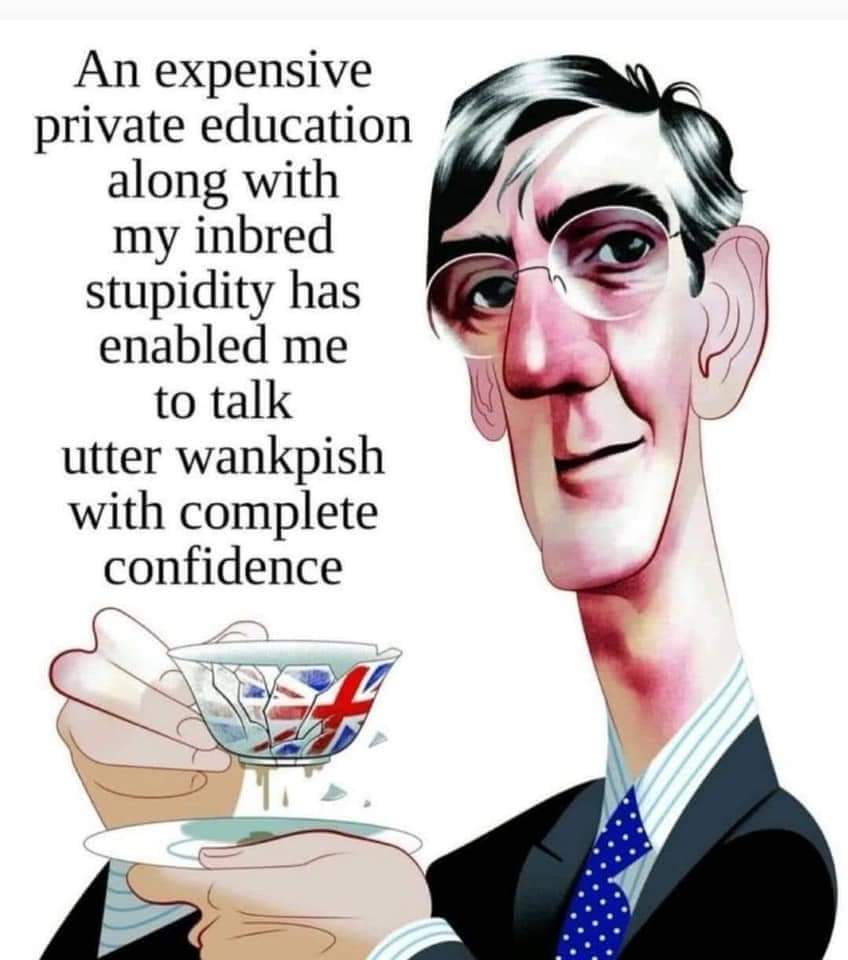 #theweeskyne #NeverTrustATory