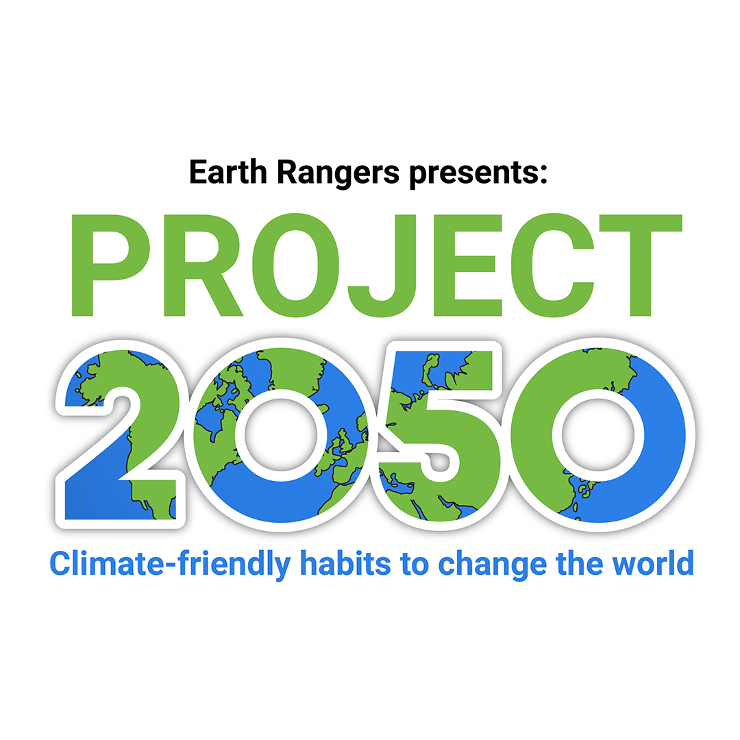 EarthRangers's tweet photo. Don't forget to check out Project 2050 on the @EarthRangers App or at https://t.co/ZBl8Gh1gUX! 

Made possible with the generous support of @environmentca. 

#SnowflakeChallenge https://t.co/rSou71b477