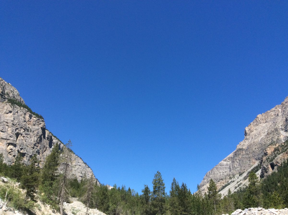 miaudit's tweet photo. nel ritornarsi a noi stessi, e anche in noi
pensieri persi,
schegge senza lapidi:
senza noi, e in noi
#senryū
@Hersi_Lia @moon_barbi @CassandraSere @ladyonorato @EveDonatello @Fedoraquattroc2 @Gavrilina_Ritz
#vocifuori https://t.co/plGK8S3Jns