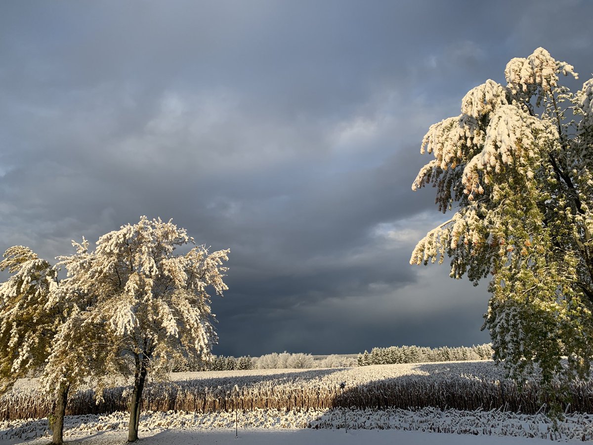 Highlander1705's tweet photo. ⁦@YourMorning⁩ our first snowfall was quite pretty. Looking out our back door. Near Elmvale Ontario in the Waverley Uplands. https://t.co/qN7gfzjvOw