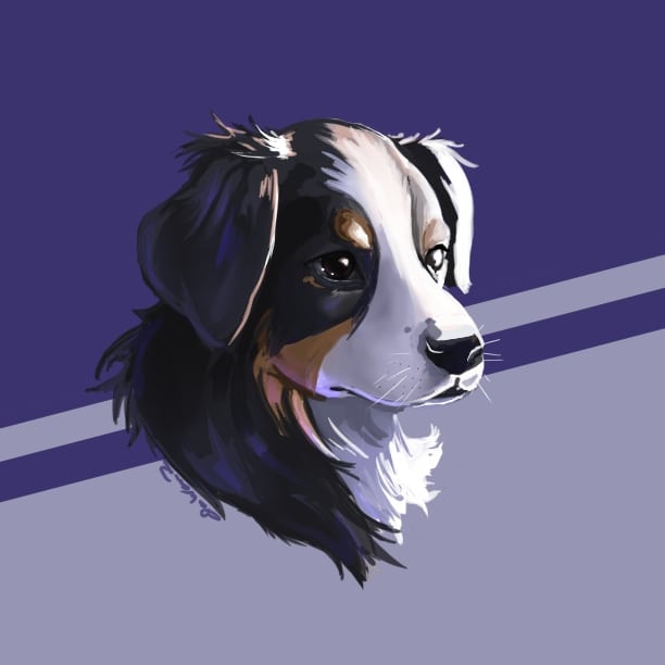 KnightyTheGreat's tweet photo. If interested in a pic of a pet, person or OC/Fanart
Pets:$65, $15 for any additional
OCs:$70, $20 for any additional
Portrait:$90, $40 for additional
Flat BG no additional cost
Full BG >$50 (By complexity)
I'm open to negotiation but I'll probably ask for a deposit Limited slots https://t.co/oahYWUUGkX