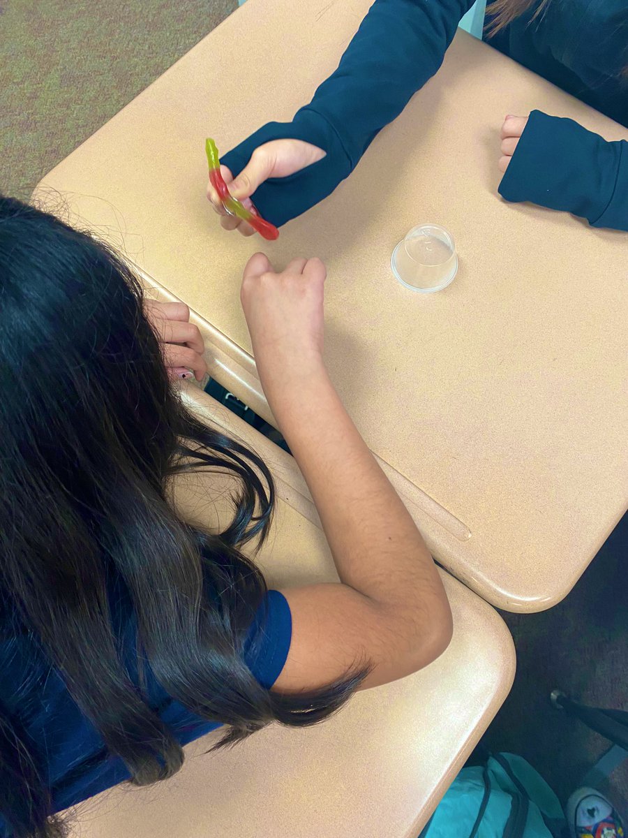 jessicabentulan's tweet photo. Itβs Friday and that means itβs Profile of a Graduate day! Todayβs POG is Collaborative Team Member. Students worked in pairs to βsave Fred the wormβ without touching the materials with their hands! πͺ±π https://t.co/dIiC3drqvp