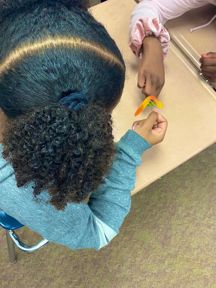 jessicabentulan's tweet photo. Itβs Friday and that means itβs Profile of a Graduate day! Todayβs POG is Collaborative Team Member. Students worked in pairs to βsave Fred the wormβ without touching the materials with their hands! πͺ±π https://t.co/dIiC3drqvp