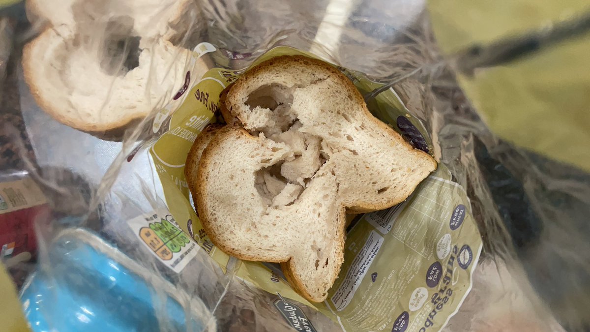 Brendan Joseph Madden tweet media