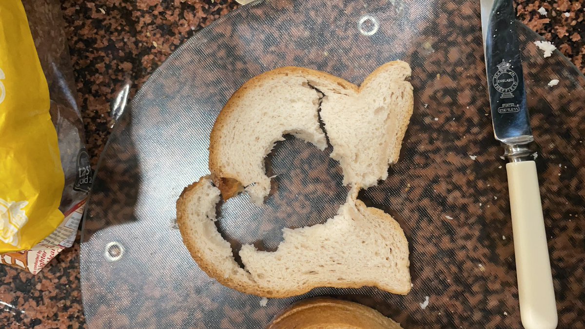 Brendan Joseph Madden tweet media