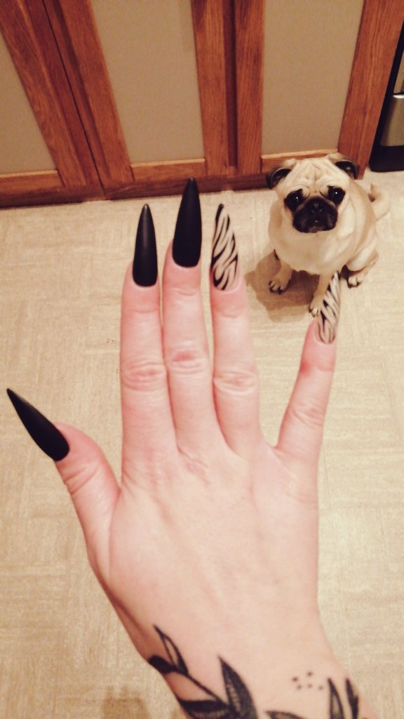 blackeyed29's tweet photo. Franchement mes ongles !! https://t.co/zgwV9GbzEQ