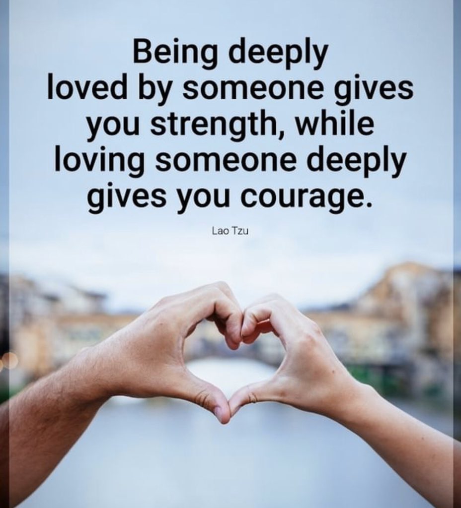 king-rex (@rex81179767) on Twitter photo 