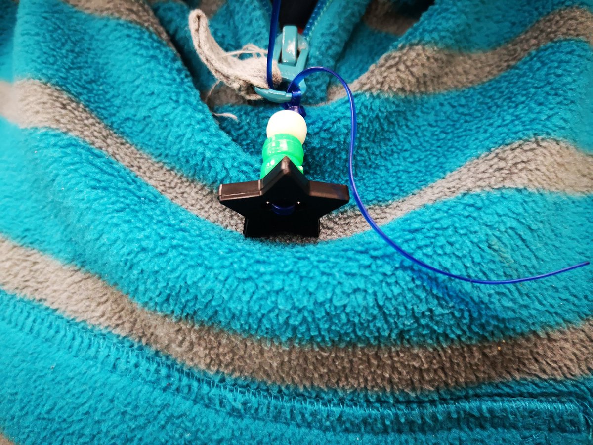 MEGANSIMS79's tweet photo. We are learning about treaties and the grade 3 students in Room 115 made promises to our land. The 3 beads represent each of the promises we made. Thank you to Ms. Jakovlevski for sharing this wonderful lesson and resources with our class. #LakesideCollaboration
#LakesideEquity https://t.co/JJldXs3Yhw