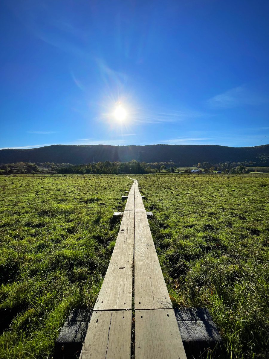 ConquerWild's tweet photo. Stairway to Heaven is probably the most popular hike in all of New Jersey. The full out-and-back trail is 7.5 miles long with a mean 1,100 feet of elevation. It’s also part of the Appalachian Trail. Do you think this trail is worth the hype?? 🤔 https://t.co/INDQtvdTDX