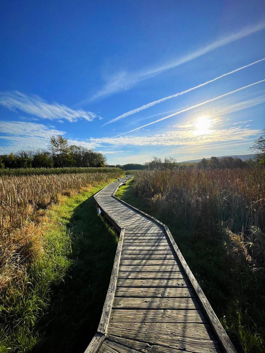 ConquerWild's tweet photo. Stairway to Heaven is probably the most popular hike in all of New Jersey. The full out-and-back trail is 7.5 miles long with a mean 1,100 feet of elevation. It’s also part of the Appalachian Trail. Do you think this trail is worth the hype?? 🤔 https://t.co/INDQtvdTDX