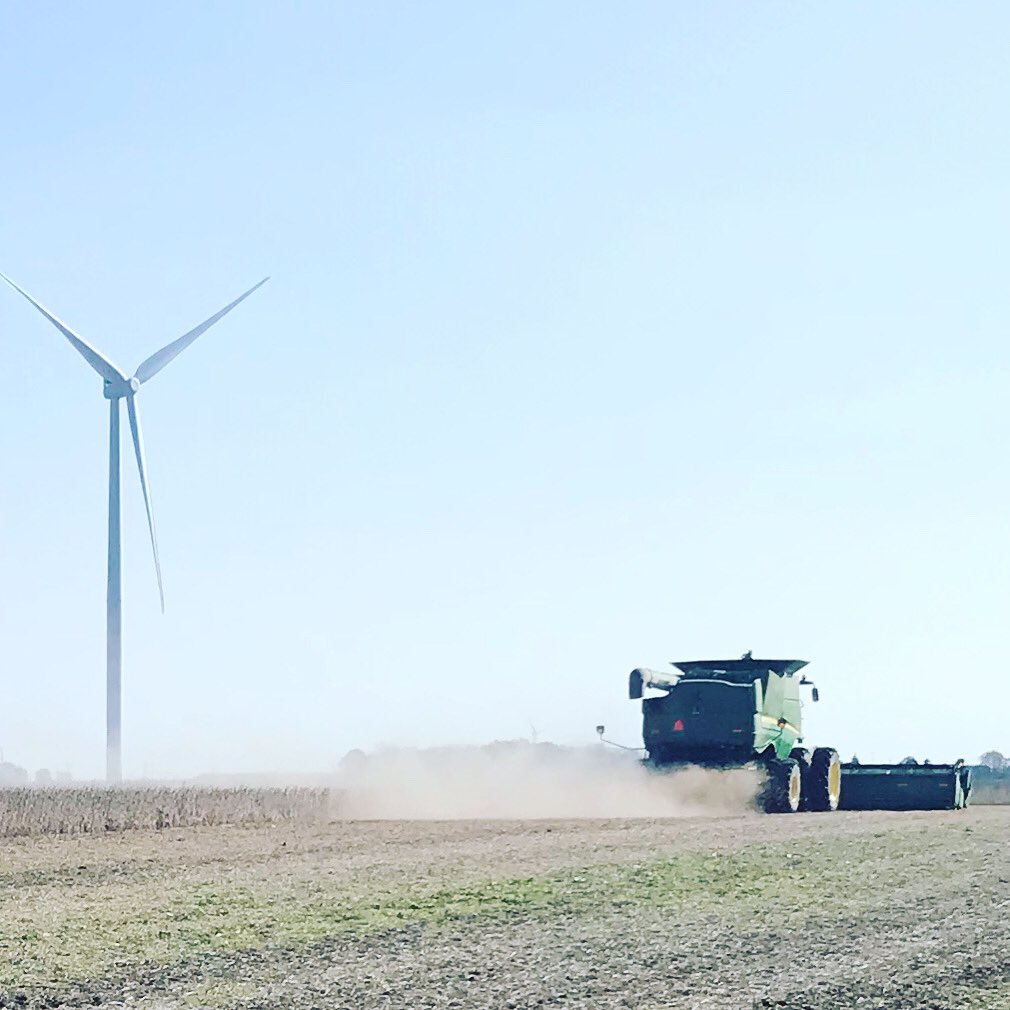 RyanSnobelen's tweet photo. Thanks for letting me hang out at the soybean plot north of Chatham @ConnorAGRIS.  Really cool to see @PRIDESeeds XRN soys next to new XFN Xtend Flex’s and E3 Enlist!  #PRIDEinMyField #PRIDE4everyAcre #harvest21 https://t.co/1vz55vgFOc