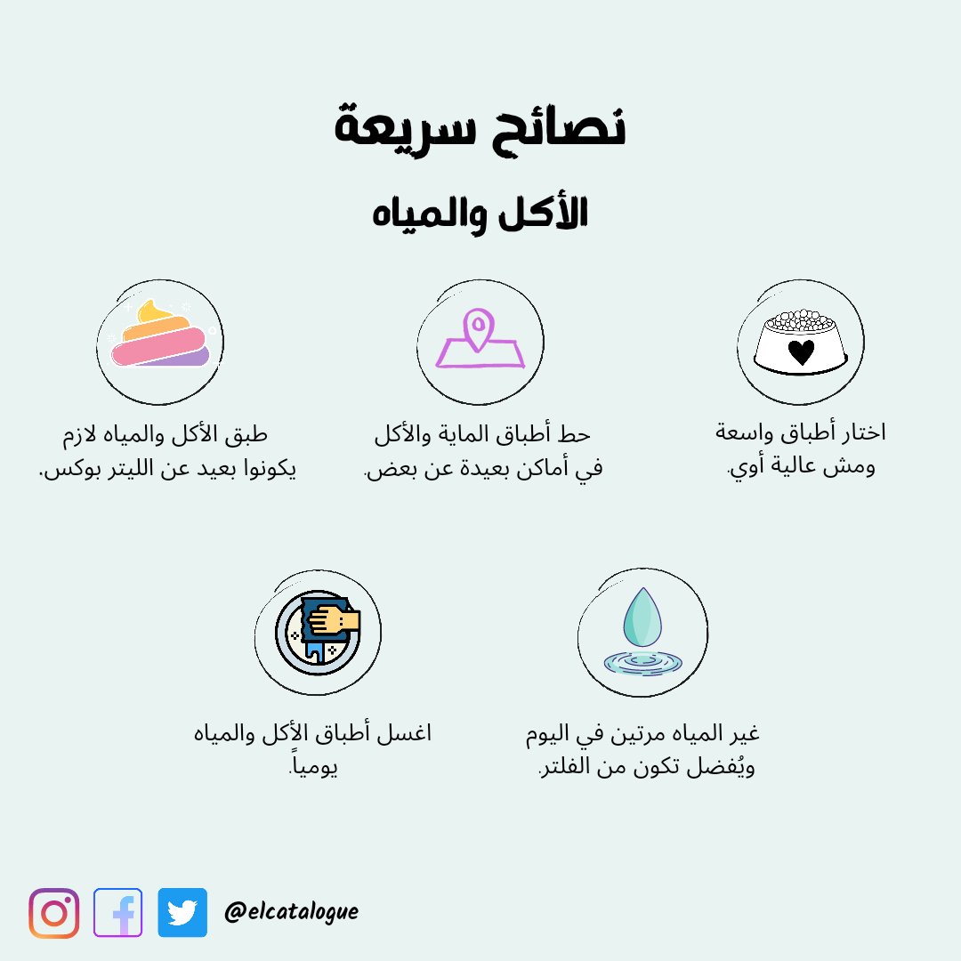 elCATalogue's tweet photo. نصائح سريعة وبسيطة عن الأكل والمياه مش كلنا نعرفها، لكن بتعمل فرق ملحوظ ومهم لقططنا.

تعرفوا ليه لازم الأكل والمياه يكونوا بعيد عن الليتر بوكس؟ 🙊

#CatsOfTwitter #AdoptDontShop #elcatalogue #cats https://t.co/H7HHA97Yz2