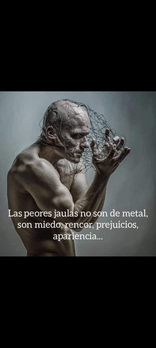 Silvi_lechu's tweet photo. Antes las adversidades lo más difícil suele ser enfrentarnos a nuestras mochilas emocionales https://t.co/WBohPc6bx1