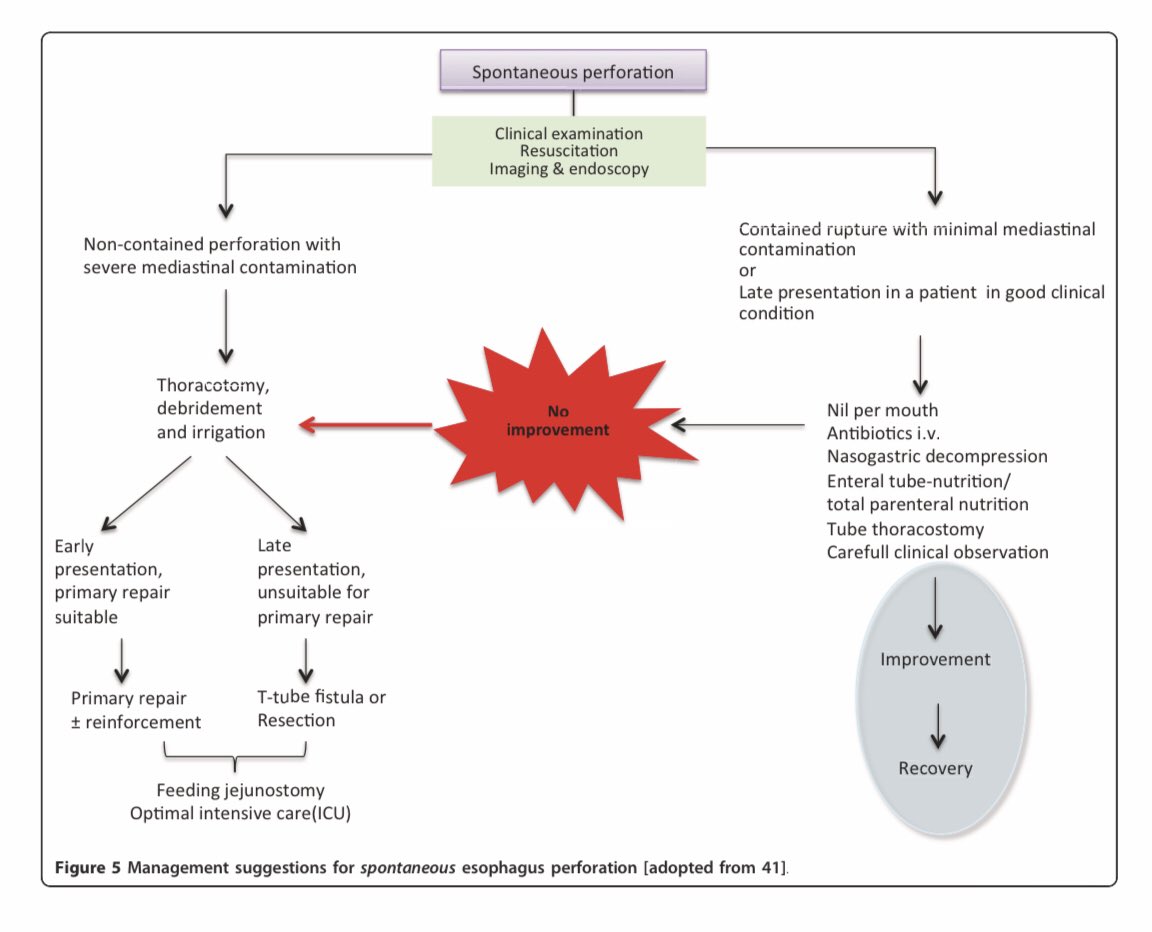 RedCiruAndes tweet media