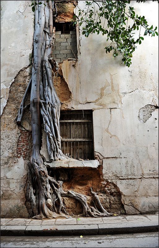 Zaman lazım sadece, unutacaksın!  Nasıl unuttuysan çocukluğunu, kırılan oyuncaklarını. Kırılan kalbini de öyle unutacaksın.

Günübirlikler, Cemal Süreya