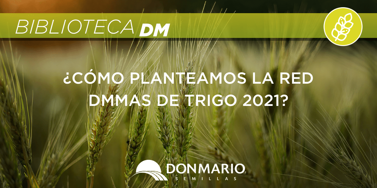 DONMARIOoficial's tweet photo. Te mostramos nuestra Red #DMMAS de ensayos de trigo 🌾. Se viene realizando hace más de 14 años a través múltiples regiones en LAS.
Leé acá 👉https://t.co/hKmLXBZ9w8
#BibliotecaDM #TrigoDM https://t.co/NQBQ4f6nm1