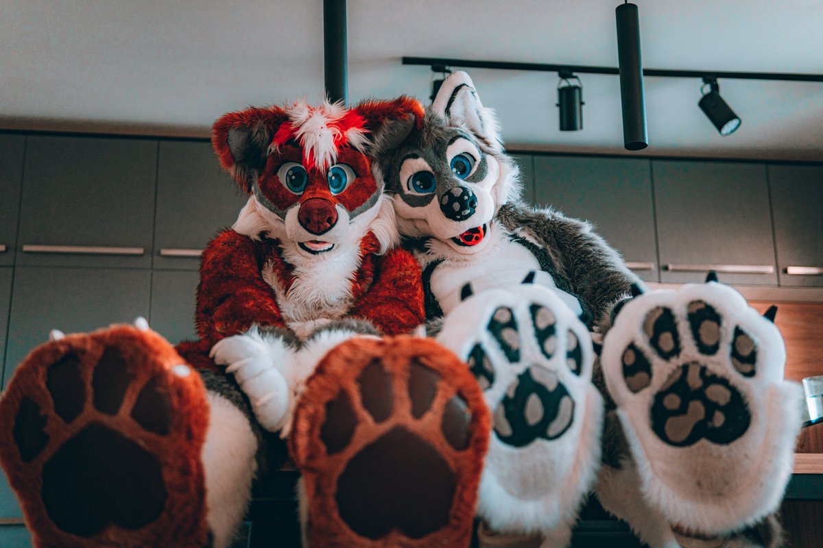 AyukeTheKobold's tweet photo. Have some beans for this #FursuitFriday 
Together with @Georgie_woofy 

👔: @CraftyVulpine 
📸: @TempestTraxx https://t.co/IVite3WEaL