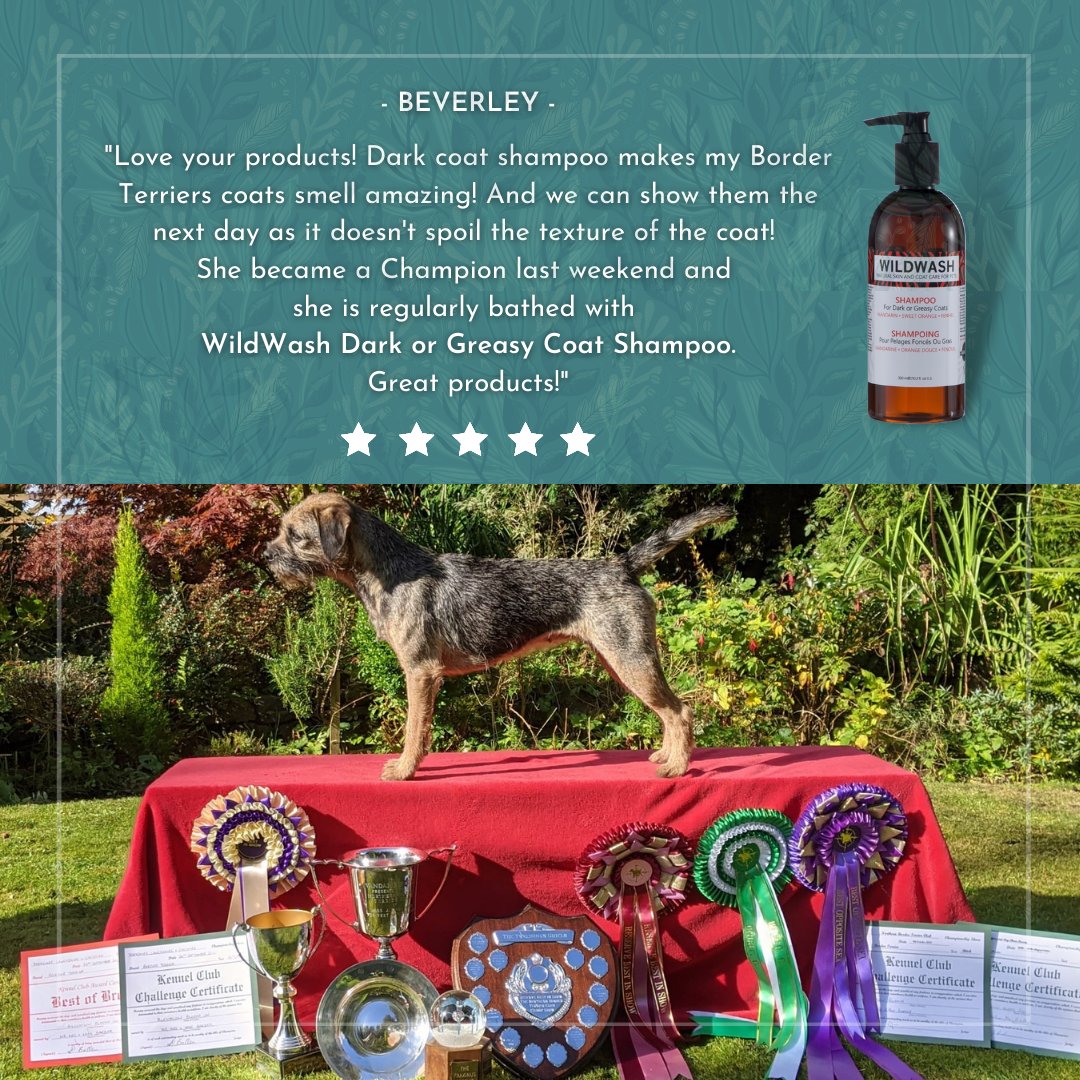 WildWash's tweet photo. Some lovely words from the champion! Congratulations! ๐ ๐
You can find the WildWash Dark or Greasy Coat Shampoo here: https://t.co/Ld7BdfgJ8H
#wildwash #champion #puppy #kannel #kannelclub #dog #puppiesofinstagram #puppylove #dogoftheday #happycustomer #kannelclubchallenge https://t.co/V7sSvOmMJ6