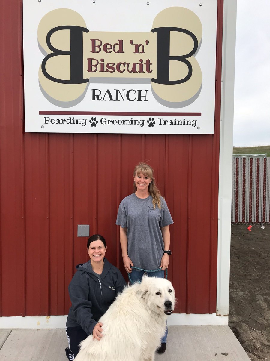 bed n biscuit ranch