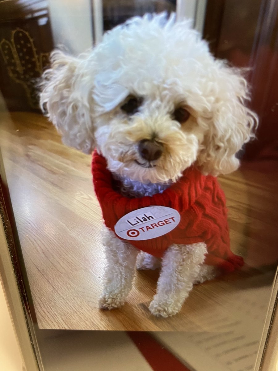 Across9_10's tweet photo. Our awesome #breakroomboss at #T1278 wants to show off Lilah instead of herself. SP we appreciate all you do for our team and the pride you take in your work!
#r100cares https://t.co/1Tojns3yYU