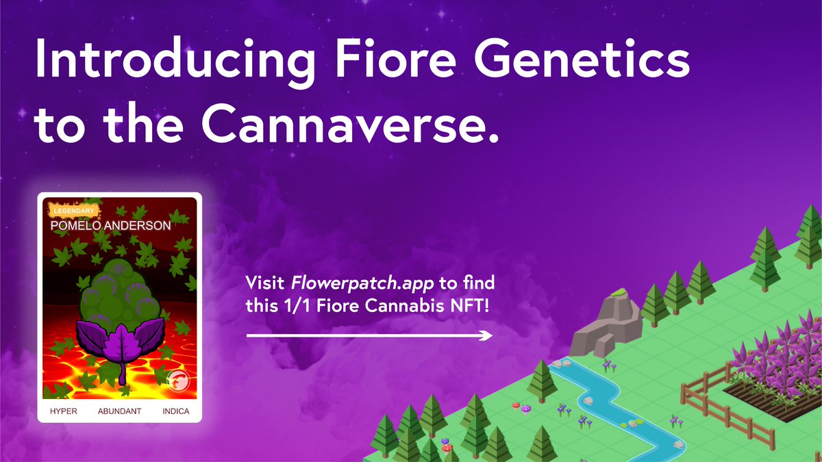 Fiore x Flowerpatch introducing elite FLOWER genetics into the Cannaverse.

To find and breed with this FLOWER NFT, head into the Flowerpatch game and look for the Legendary Pomelo Anderson 

#NFT #NFTGaming #Cannaverse #Flowerpatch

<a href="/flowerpatchgame/">Flowerpatch</a>