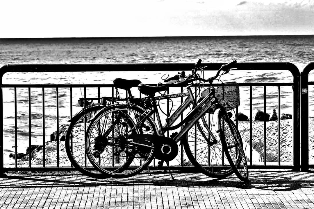 SailingAway3's tweet photo. - E pedalando, raccontava Olmo, io sentivo il fruscรฌo: maglietta e tubolari di seta, il fruscรฌo di una vela sul mare -
Mario Fossati.
๐ท My Pic, around Rio Martino, Latina.
#CasaLettori #blackandwhitephotography #fotografia #mariofossati https://t.co/D0s0wH6iQH