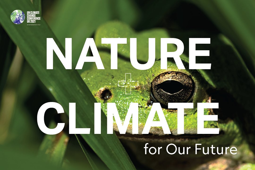 UNBiodiversity's tweet photo. Protecting nature is an investment in a healthy and resilient future. 

We cannot solve the issue of climate change without also solving the challenge of #biodiversity loss and degraded ecosystems. 

#COP26 #TogetherForOurPlanet #ForNature https://t.co/UFxtb2UqTA