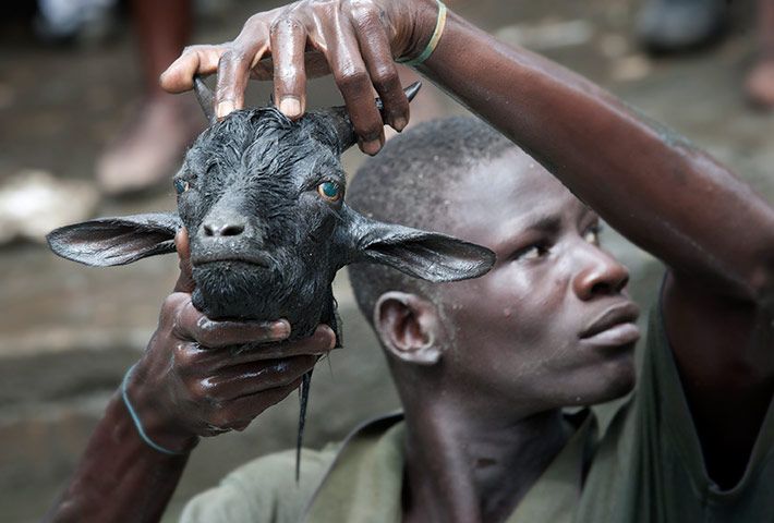 Louisiana Voodoo Doll Spell Priest Man Queen Store tweet media