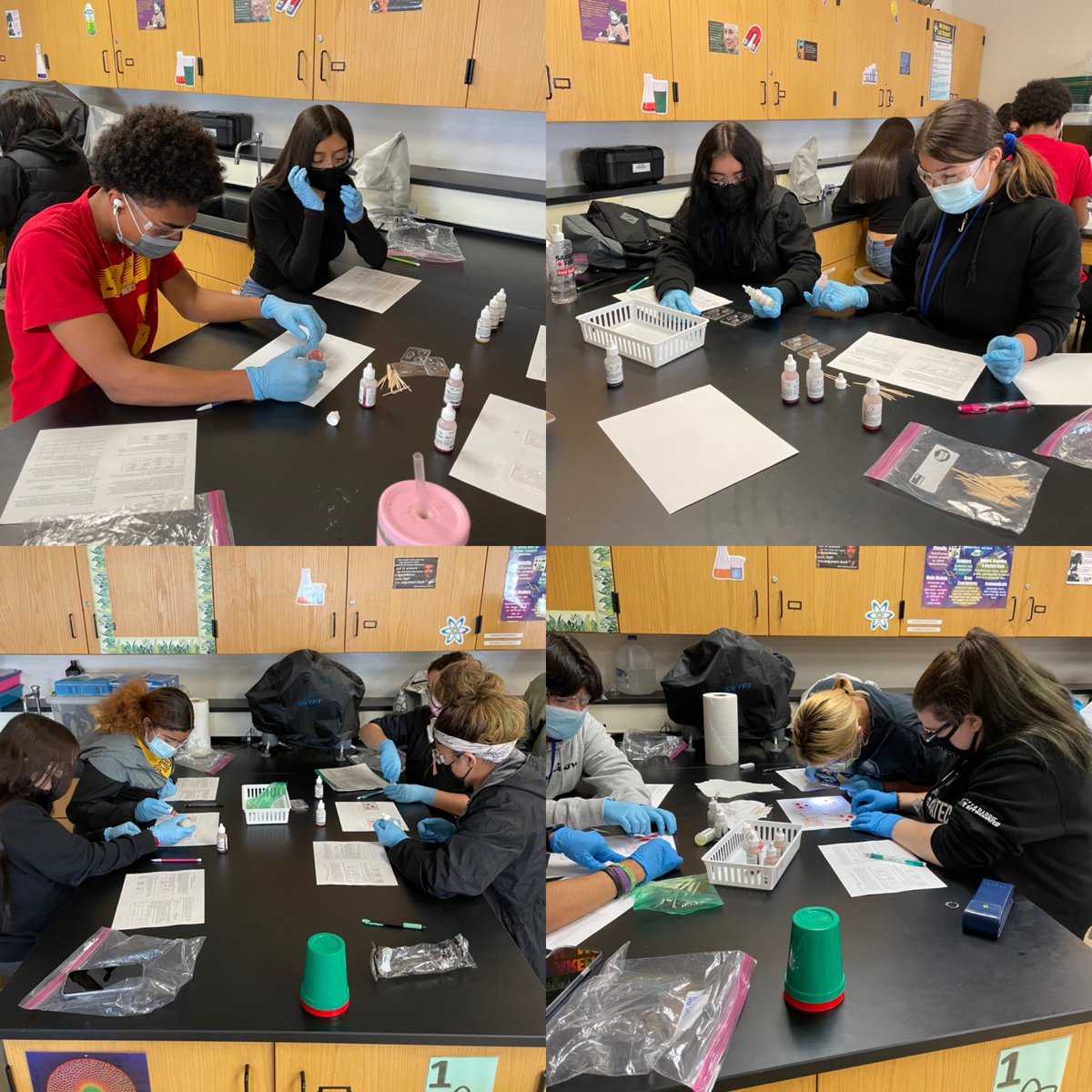 Blood type testing-now we can see an agglutination reaction with A, B, and Rh antibodies to determine blood types!