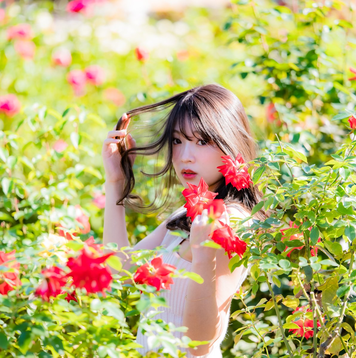 knock1965's tweet photo. #桜ゆりか   ~into the Rose Garden~

#RoseGarden 
#portrait 
#photography 
#bimage 
#redrose 
#flowers https://t.co/hT97wmyoQG