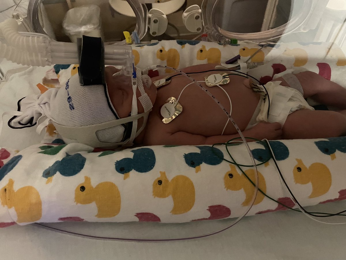 Sarah_Millerrr's tweet photo. Welcome to the world, Hadlee Rose and Dakota Luv! 💖💖 Hadlee was born at 6:42 AM at 4lb 1oz and Dakota was born at 6:43 AM at 5lb 11oz! My girls are both beyond perfect! 🥺🥰💞💞 https://t.co/m86LgSwQKn