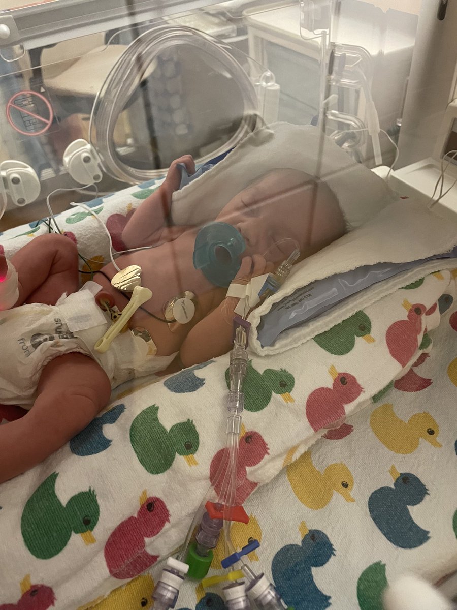 Sarah_Millerrr's tweet photo. Welcome to the world, Hadlee Rose and Dakota Luv! 💖💖 Hadlee was born at 6:42 AM at 4lb 1oz and Dakota was born at 6:43 AM at 5lb 11oz! My girls are both beyond perfect! 🥺🥰💞💞 https://t.co/m86LgSwQKn