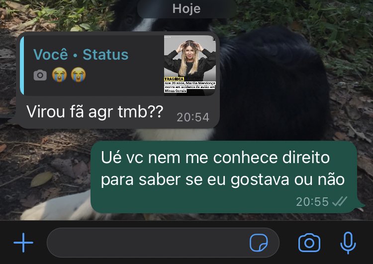 daspett's tweet photo. Gente eu não tenho paciência,a falta de empatia desse povo https://t.co/NXpKUOYLtY