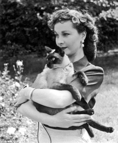 DamesandDogs's tweet photo. #VivienLeigh with her Siamese cat https://t.co/7LVxxgwGuK