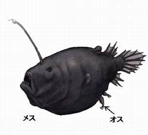 @tomo_yuki2525 アンコウのオスみたいにちょっとはみ出しとけばええんちゃう？ 