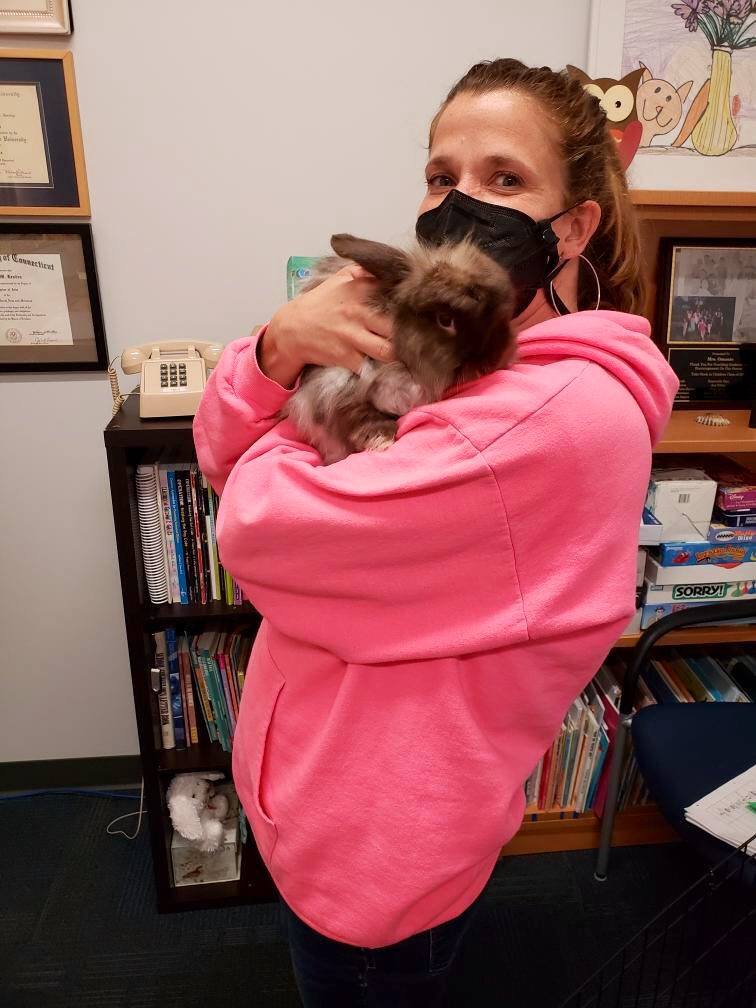 wileyelementary's tweet photo. Enjoyed meeting Ms. Omonte’s reading rabbits today! Meet Destiny, Ms. Ware’s new BFF! #WeAreWiley #KeepWileyWeird #WileyGameOn #FurTherapy 🤣🤣🤣 https://t.co/EY8RTKCLlf