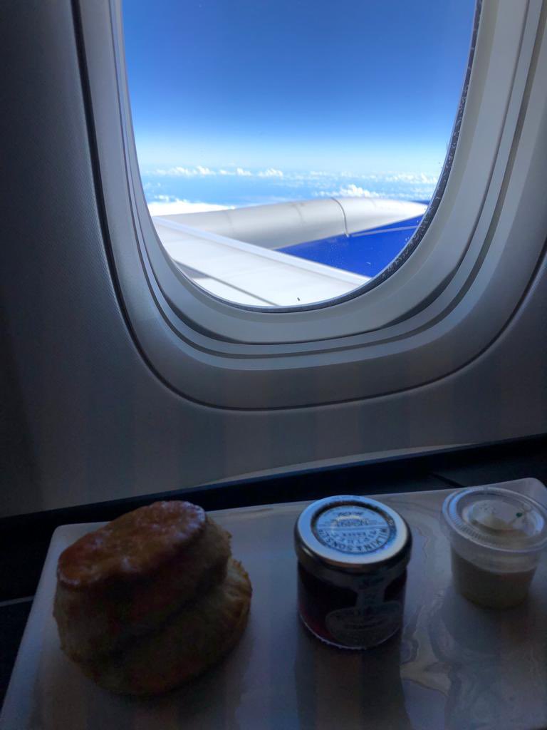 SSconesociety's tweet photo. Scones at 35,000 feet! Is this the record for the scone at highest altitude? #scottishsconesociety #scones #jam #cream #airlinefood https://t.co/KVbwJtOHNv