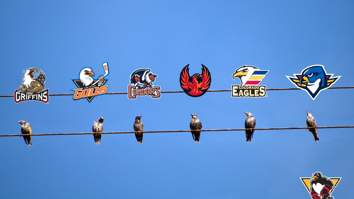 ThunderbirdsAHL's tweet photo. it's getting a lil crowded up here...

welcome to the AHL, @Firebirds! https://t.co/y4XqJh16vs