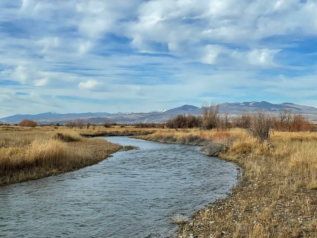 No wading, but even a short site visit was a nice change. instagr.am/p/CV6MIMzBllx/