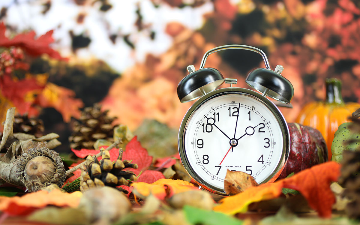 WillCountySOA's tweet photo. The annual tradition of "falling back" an hour returns Sunday as daylight saving time is ending for the year. It begins every year on the 2nd Sunday of March in order to align typical working hours with the time the sun is shining  ends every year on the first Sunday of November https://t.co/UPsPrydr5b