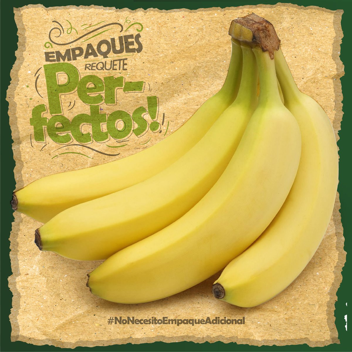 FunserMejorCol's tweet photo. La naturaleza nos sigue dando lecciones...

¿Ya le habías prestado atención a sus Empaques Requete Perfectos?. 

Acciones notorias, que nuestro ambiente agradecerá #NoNecesitoEmpaqueAdicional ni plástico!. 🌳🍃
#empaquesecologicos #contaminacionambiental #naturaleza #noplastico https://t.co/6P4luvuEKm