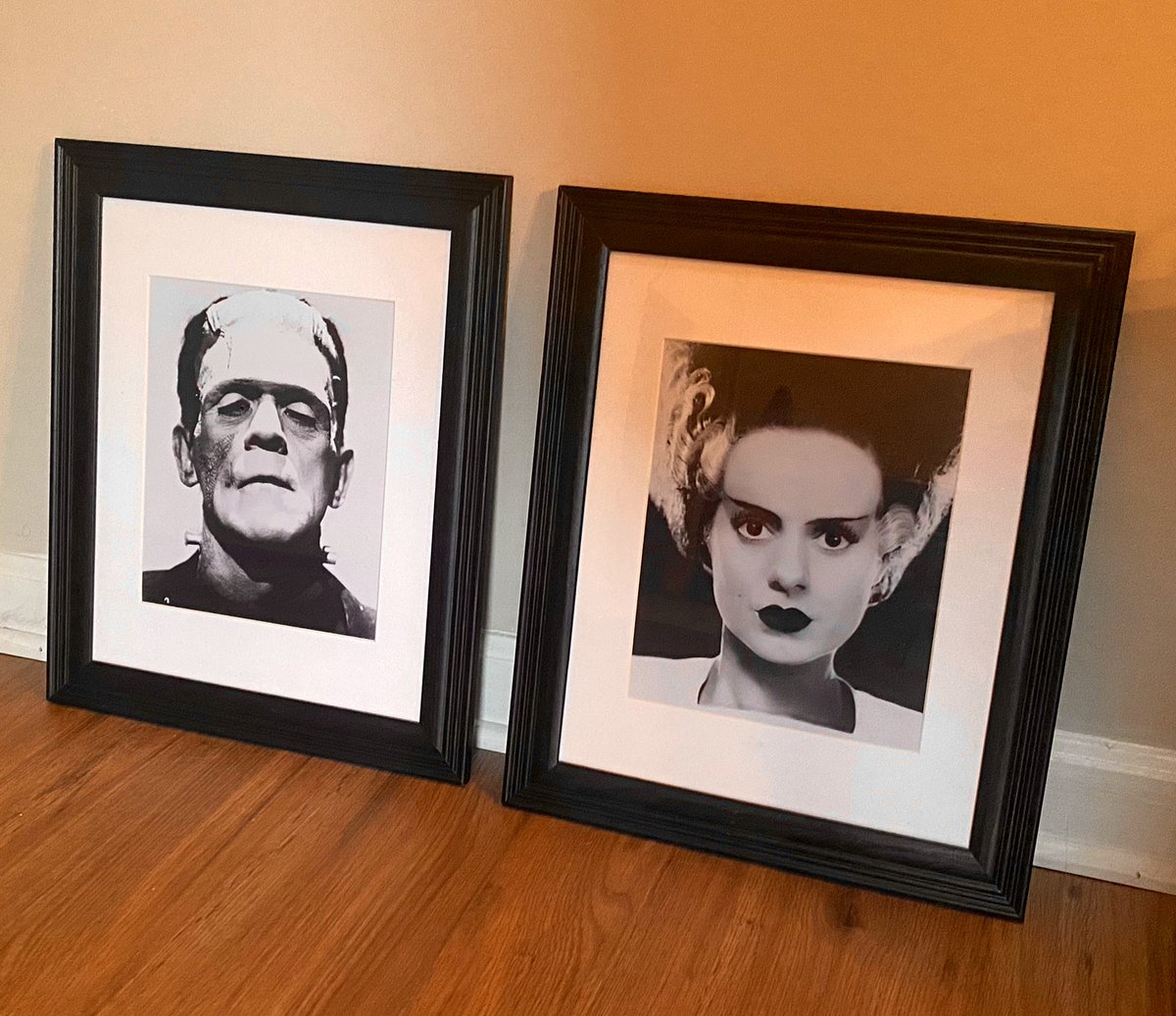 CrashIntoMarki's tweet photo. Framed these cuties today 😍 https://t.co/Y1jZTcBUL2