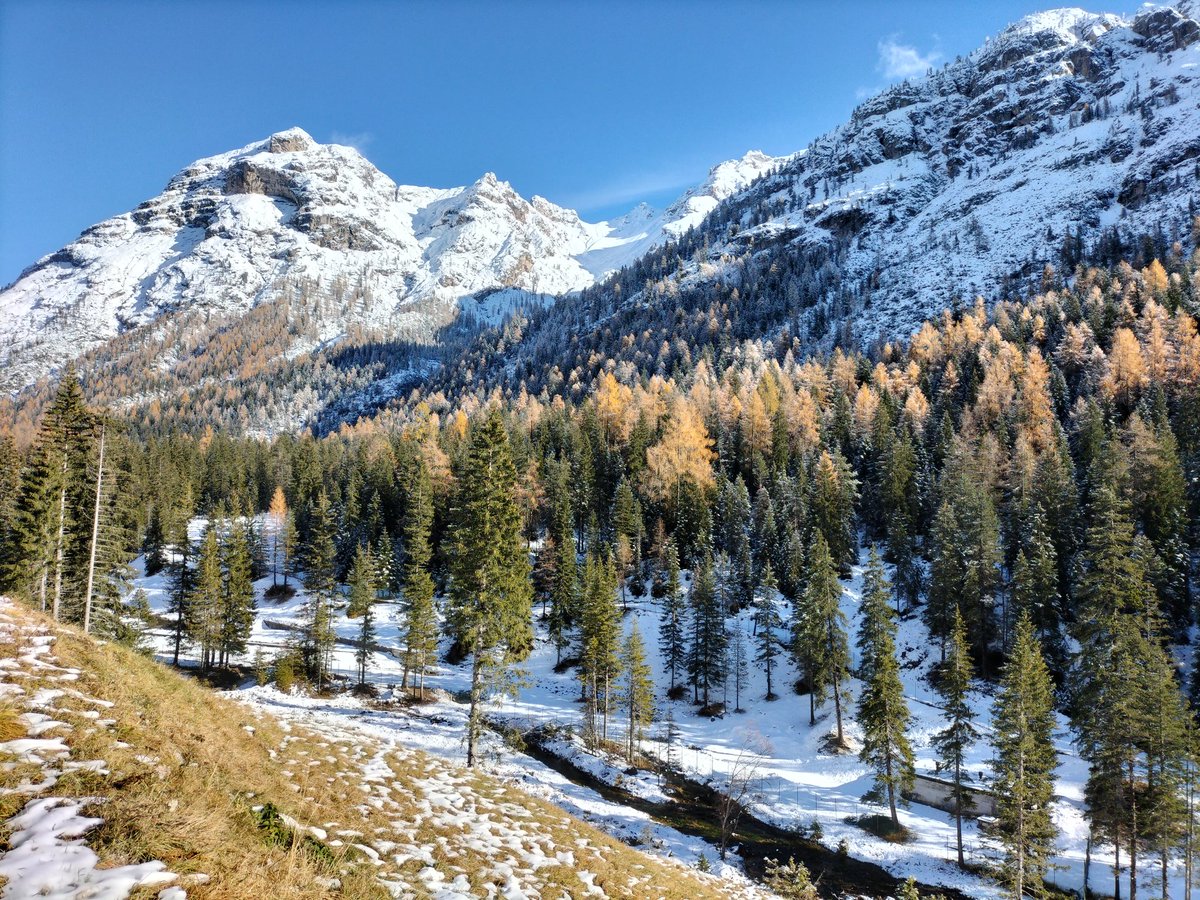 Una tavolozza di colori 🎨 imbiancata da una spruzzata di neve ❄️
Bellezza senza fine le #dolomiti  #dolimitibellunesi #Veneto #5novembre #neve